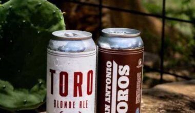 Cactus Land Brewing launches new San Antonio Toros brew