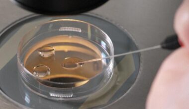 Texas GOP delegates approve platform language targeting IVF