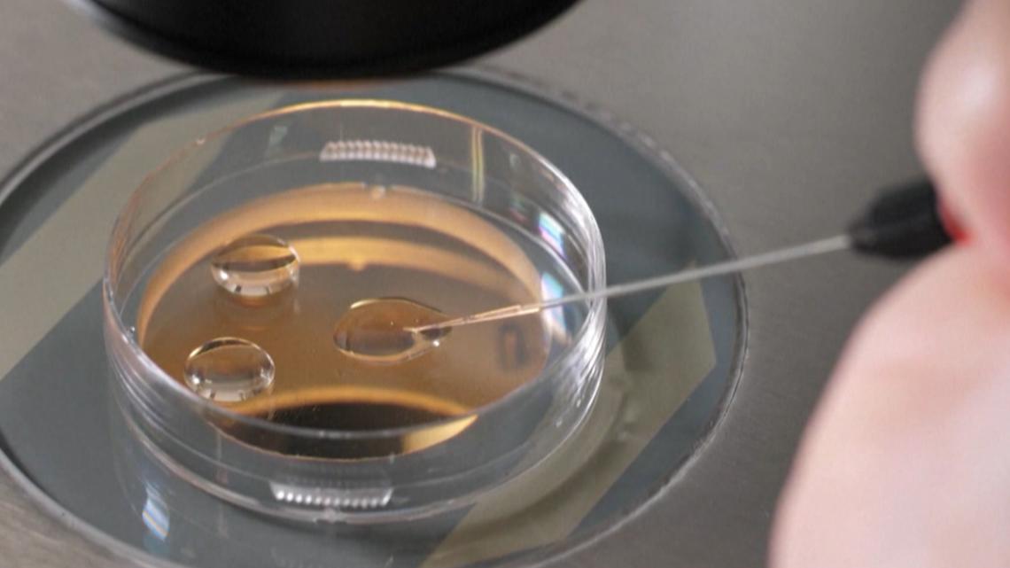 Texas GOP delegates approve platform language targeting IVF