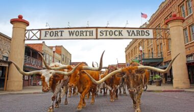 Fort Worth Stockyards