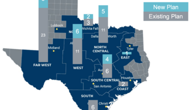 Texas Forecasts Record Electricity Demand as Summer Heat Approaches • The Austin Chronicle
