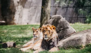 El Paso takes kiosks to the zoo