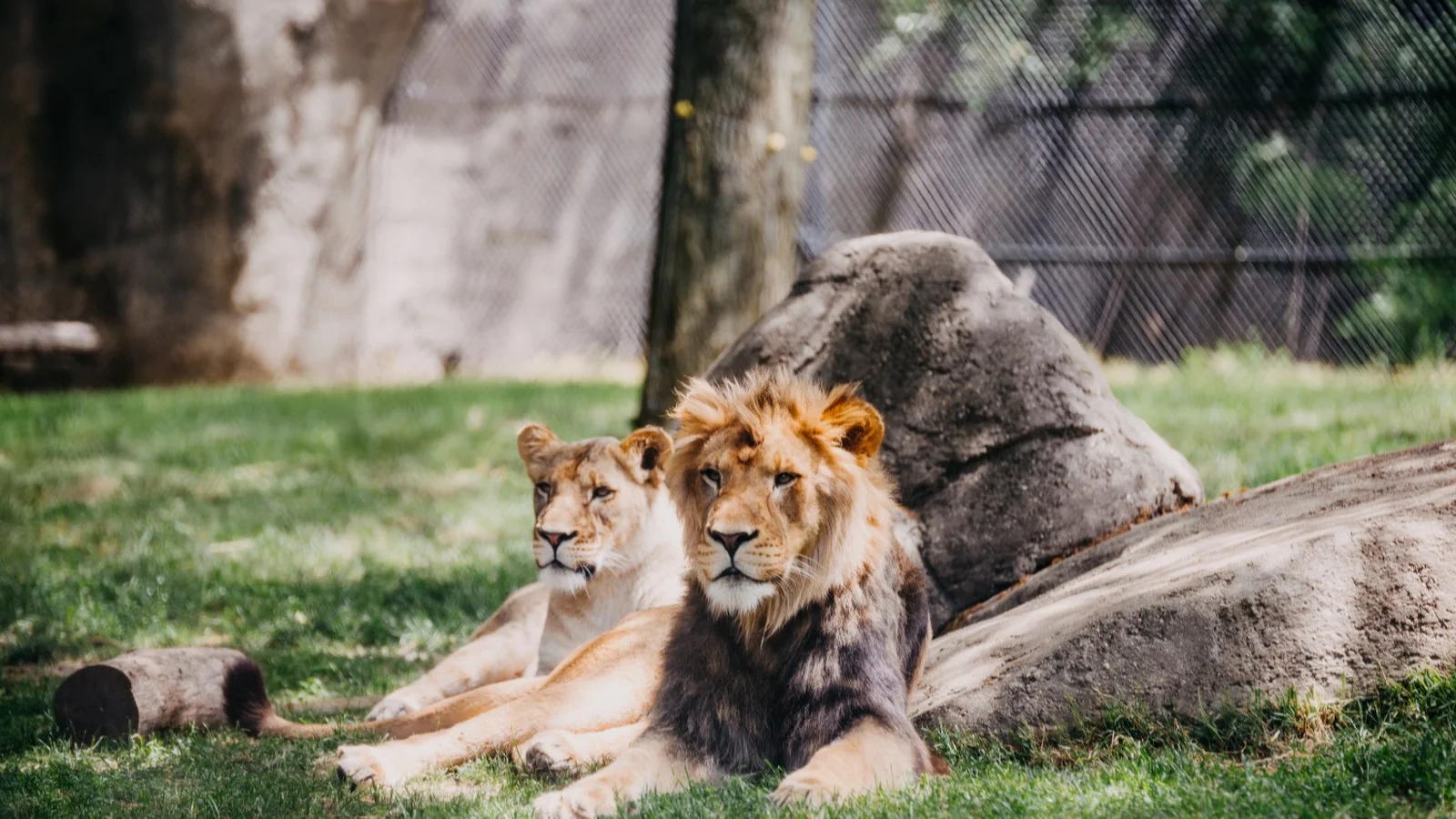 El Paso takes kiosks to the zoo