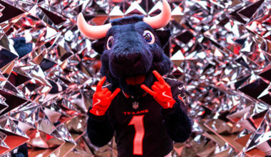 Houston Texans logo