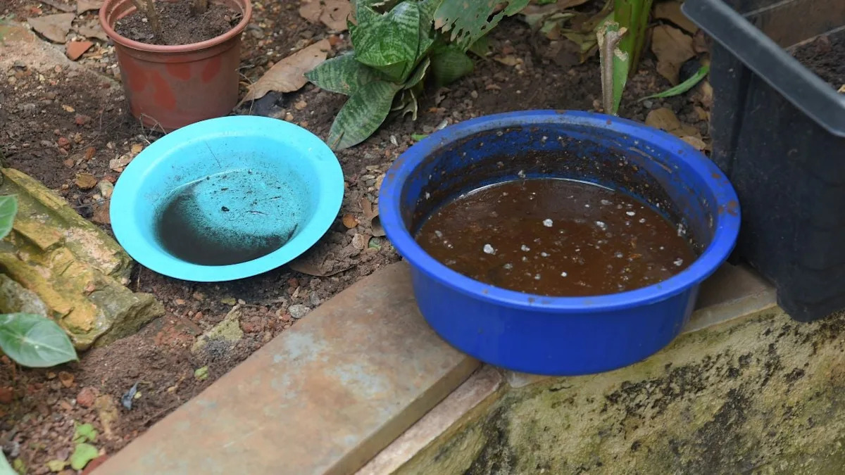 Texas West Nile Case Puts Standing Water Around Homes Back in the Spotlight