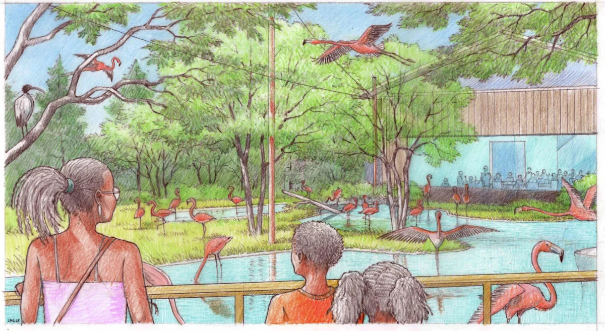 Massive safari-esque attraction to break ground at Dallas Zoo