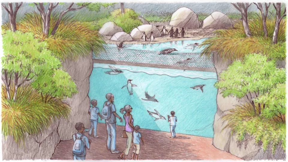 A rendering of the African Shorelines penguin underwater viewing exhibit proposed for the Dallas Zoo. (Dallas Zoo)