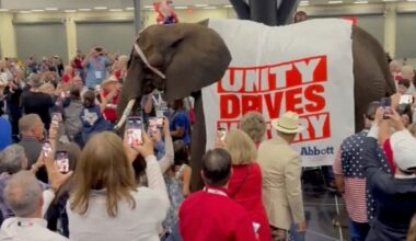 ‘They did it again’: Texas GOP brings a real elephant to a convention