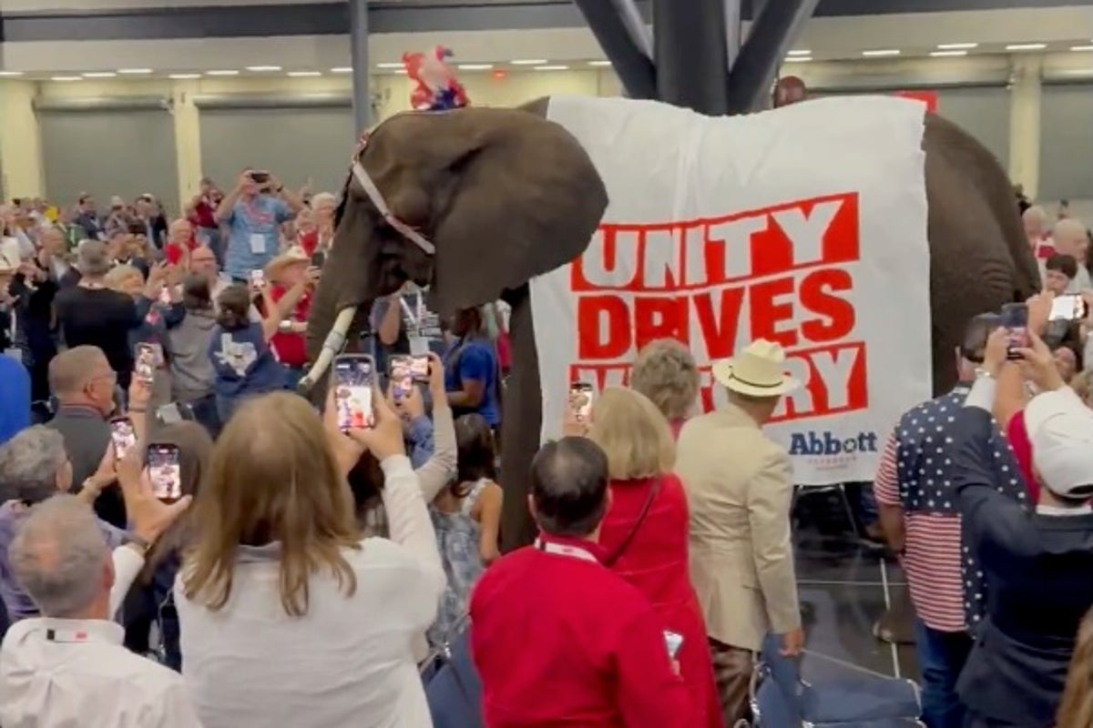 ‘They did it again’: Texas GOP brings a real elephant to a convention
