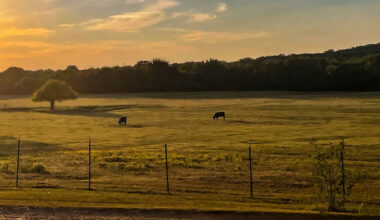 Farmer gave a Texas city 87 acres so kids would have 'somewhere to play' — now it is slated for a $10 million data center