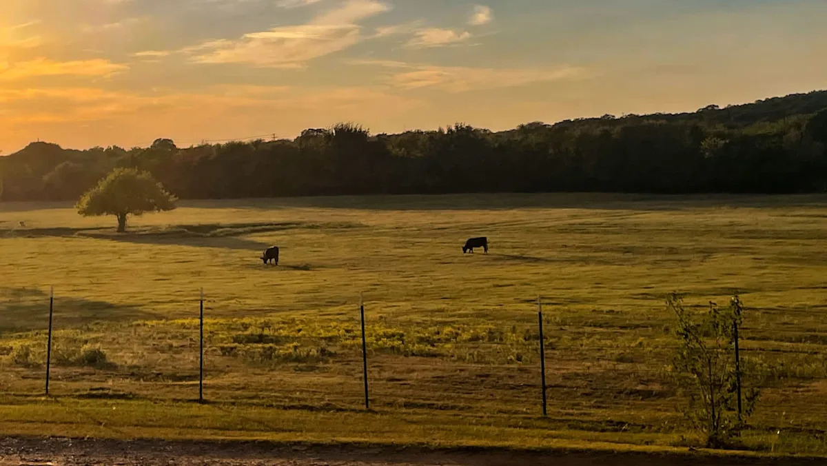 Farmer gave a Texas city 87 acres so kids would have 'somewhere to play' — now it is slated for a $10 million data center