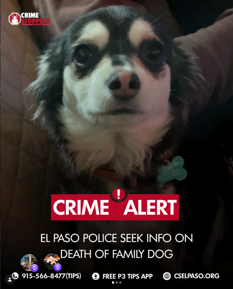 Crime stoppers Instagram post