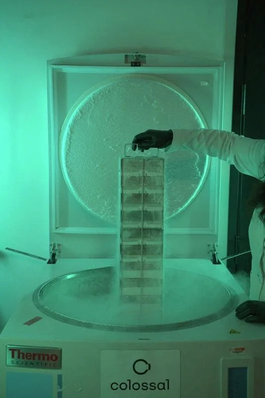 A sample tray from the Colossal BioVault at the headquarters of biotech company Colossal Biosciences in Dallas, Texas, U.S., in this handout image released on June 25, 2026.