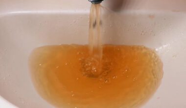 Employees say Texas town fired them after water clerk 'refused to lie' amid water-quality arrest fallout