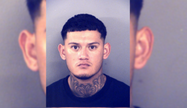 Suspected animal cruelty report leads to El Paso man’s arrest