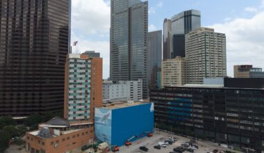 Dallas artist sues FIFA for $25 million after his giant whale mural was destroyed in World Cup preparations