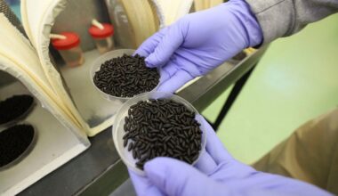 New World screwworm returns to US as Mexico cartel routes spread pest