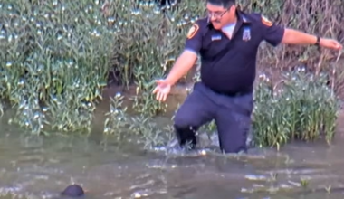 Video captures Fort Worth officer saving missing boy along Trinity River