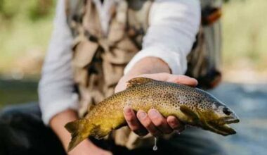Texans can fish without a license for one day only in June