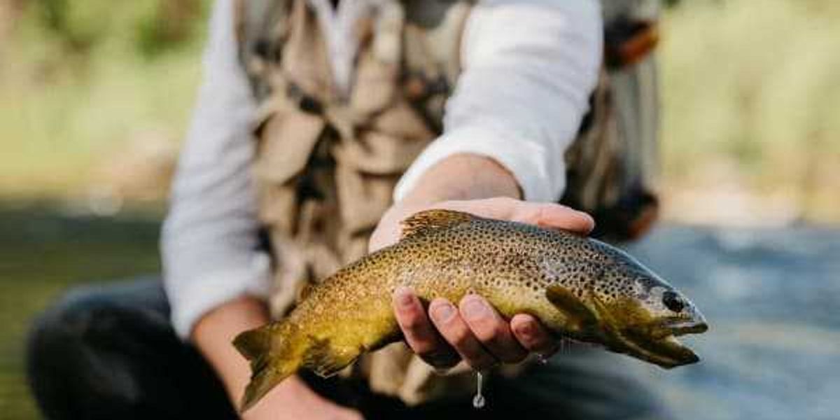 Texans can fish without a license for one day only in June
