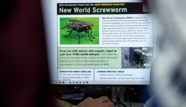 Michigan officials taking protective action after screwworm detected in U.S.