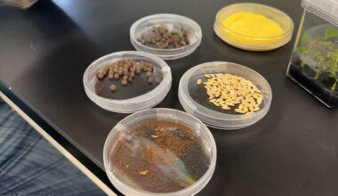 Texas A&M researchers to send grape seeds to space