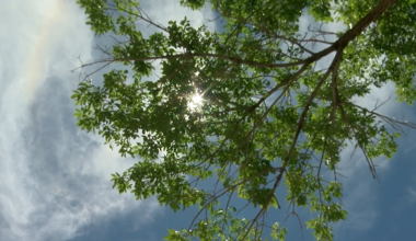El Paso sees first day of a triple-digit temperature stretch