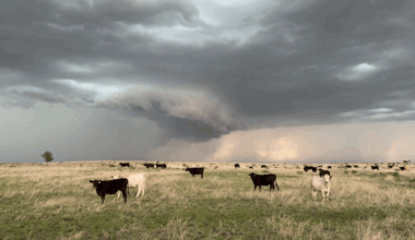 Dramatic Footage Shows Massive Storm Clouds Looming Over Northern Texas
