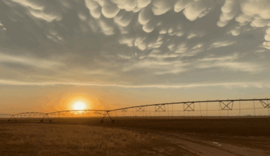 Stunning Mammatus Sunset Dazzles in Northern Texas