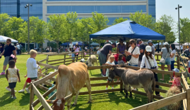 Celebrate Texas Culture At Kaleidoscope Park's New Summer Tradition - Local Profile