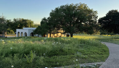 Texas' Riverside State Park Is A Perfect Corpus Christi Day Trip With Camping, Fishing, And Trails