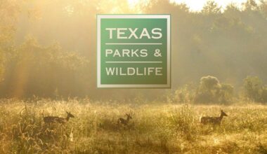 Texas Hunting, Fishing License Breach May Have Exposed Data of More Than 3 Million Customers