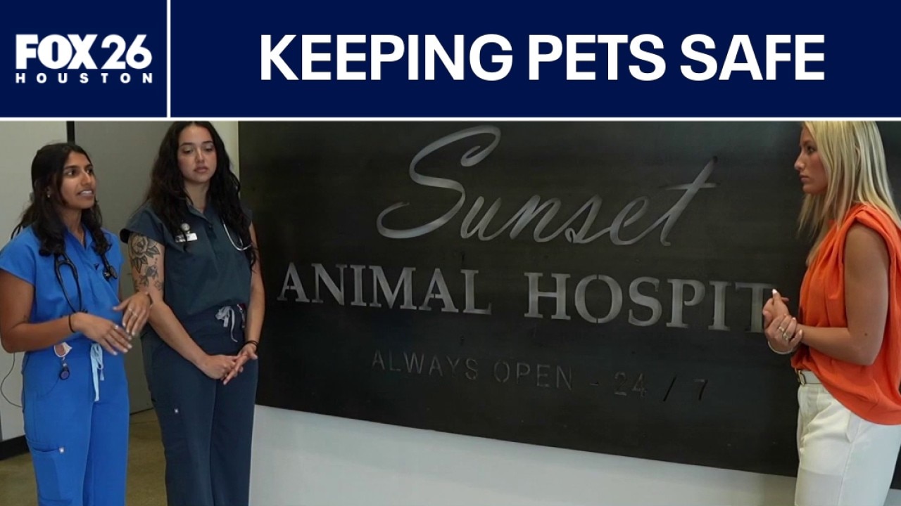 Houston vets warn of potential heat stroke for pets