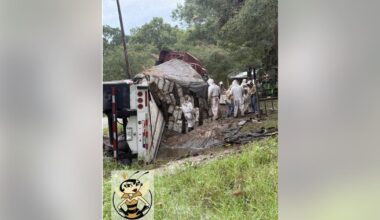 Texas Neighborhood Locked Down After Bee Truck Crash