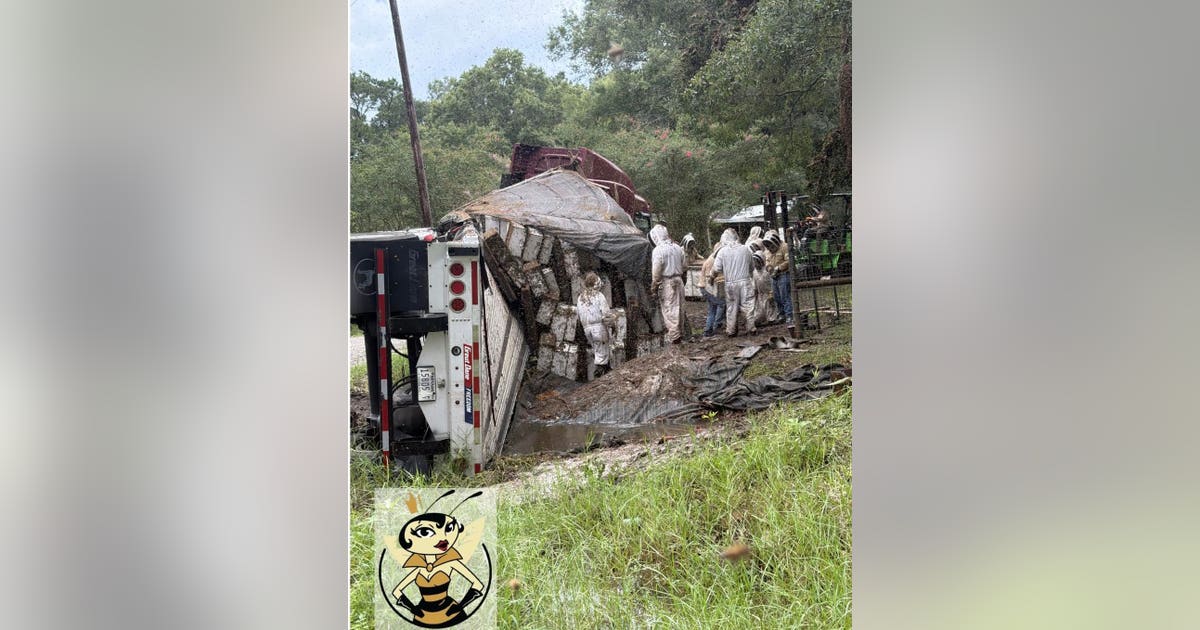 Texas Neighborhood Locked Down After Bee Truck Crash
