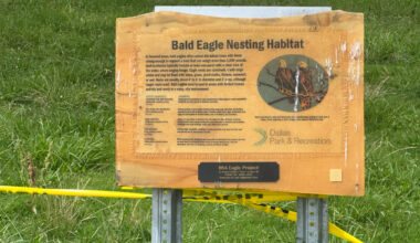 Birders and bikers at odds over Eagles at White Rock Lake