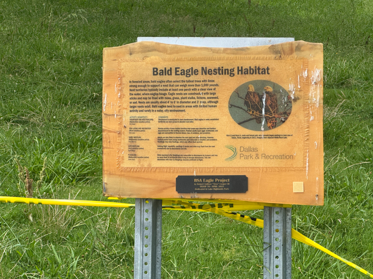 Birders and bikers at odds over Eagles at White Rock Lake