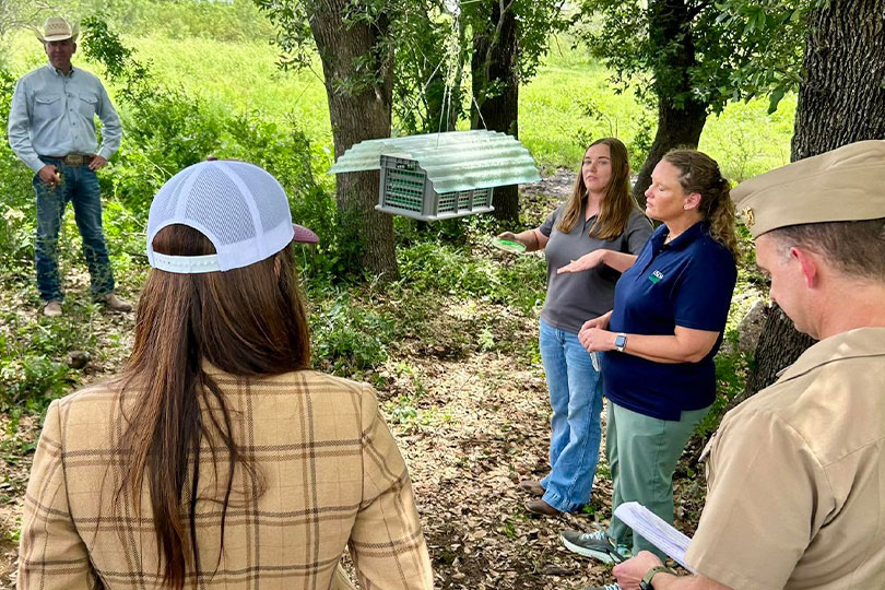 Federal and state animal health officials are intensifying efforts to contain and eradicate New World screwworm as additional cases are confirmed in South Texas and response operations expand across the region.