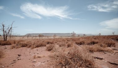 Lubbock's Recent Rainfall: Hope Amid Ongoing Drought