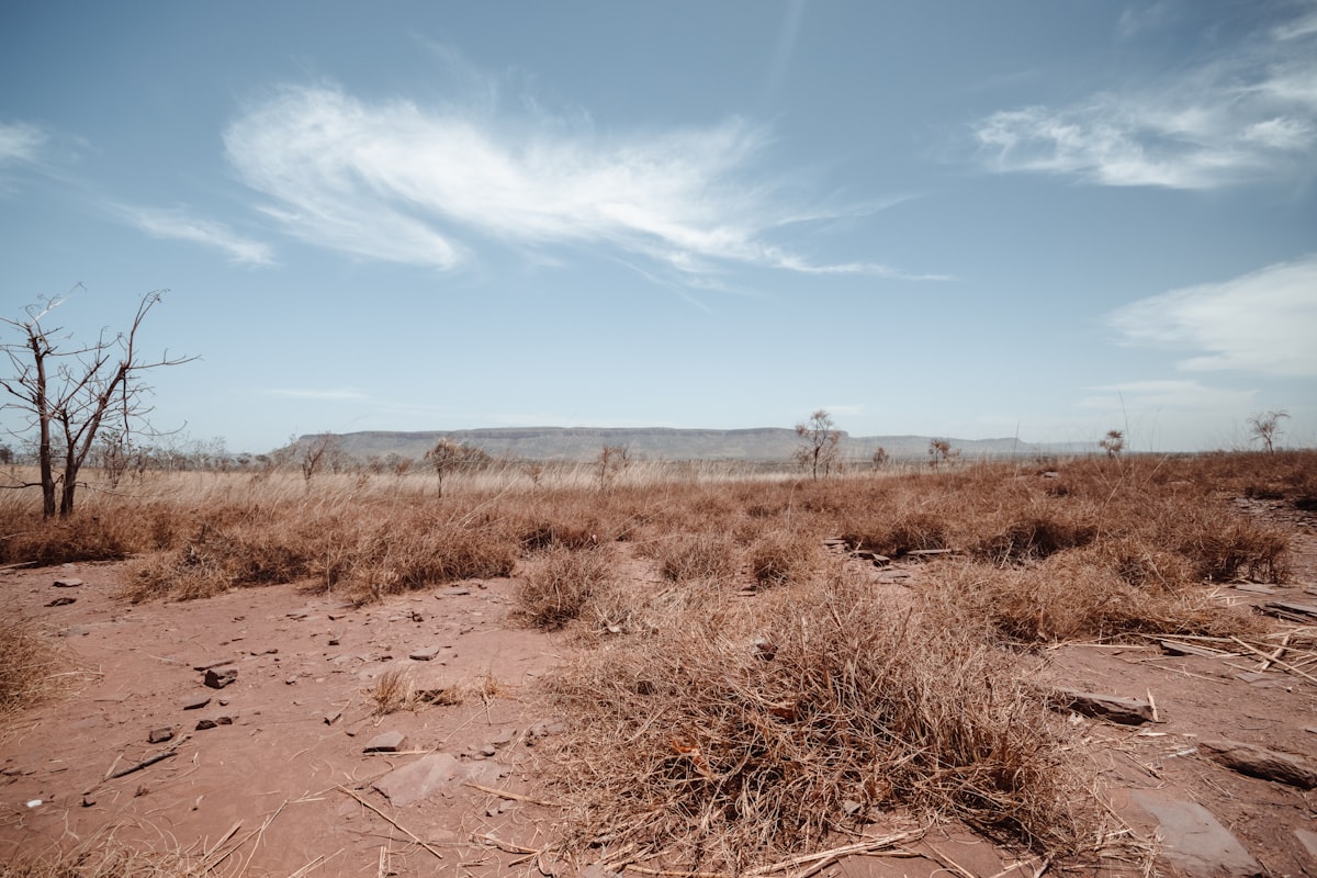 Lubbock's Recent Rainfall: Hope Amid Ongoing Drought
