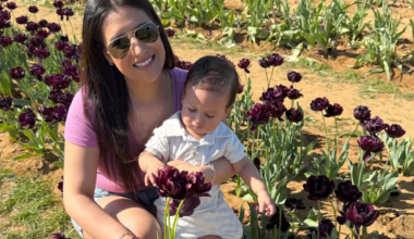 Homeownership help for North Texas mothers through Ascend Dallas – NBC 5 Dallas-Fort Worth