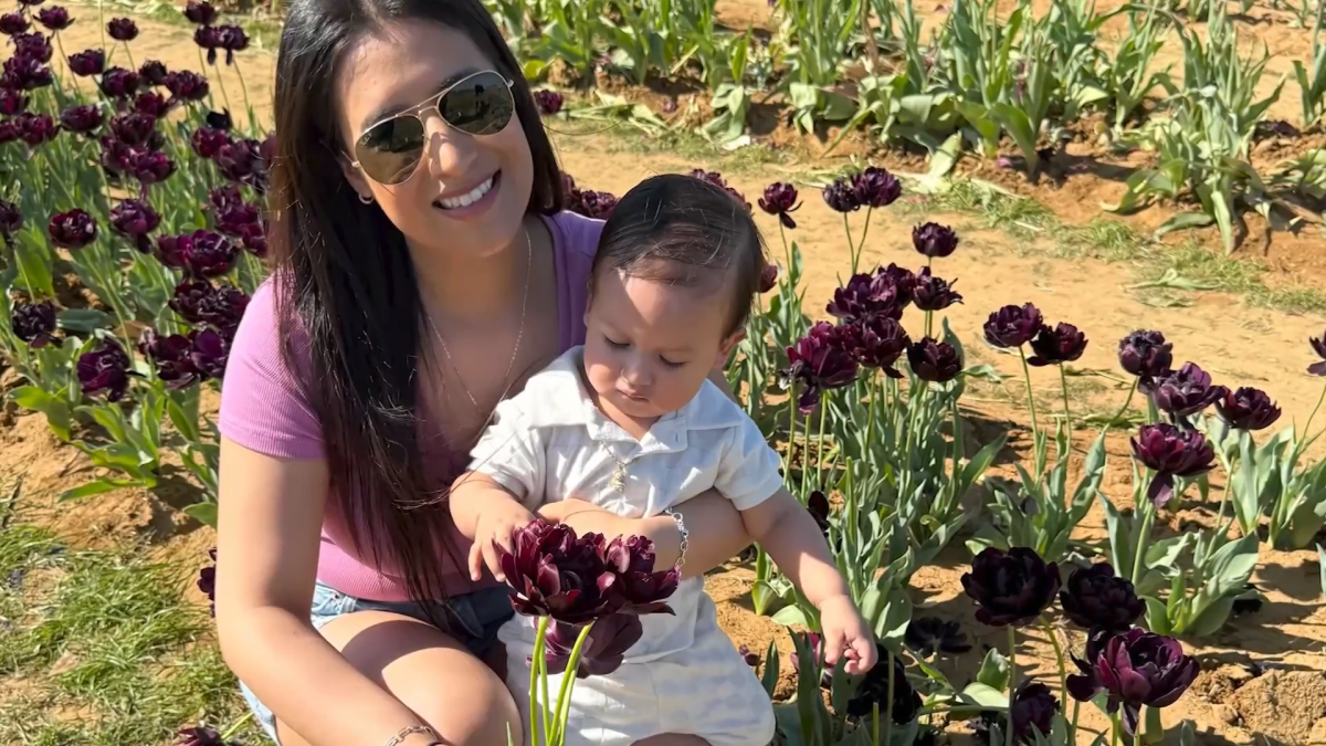 Homeownership help for North Texas mothers through Ascend Dallas – NBC 5 Dallas-Fort Worth