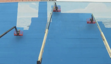 Artist sues for $25 million after Dallas whale mural painted over for World Cup