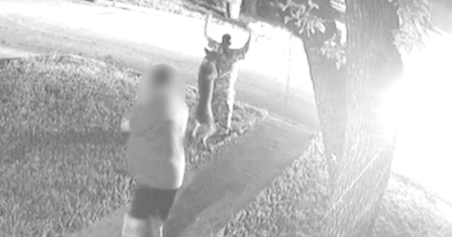 Exclusive: Female bystander alleges attack in her yard by Fort Worth police dog