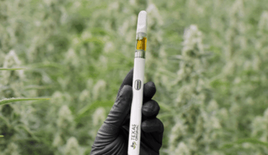 A New Medical Cannabis Option Arrives in Texas