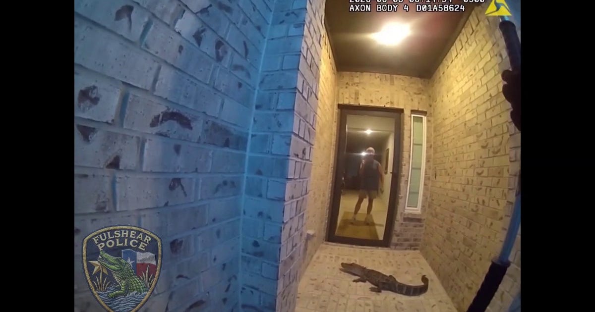 Texas Man Mistakes Front Porch Alligator for Amazon Package