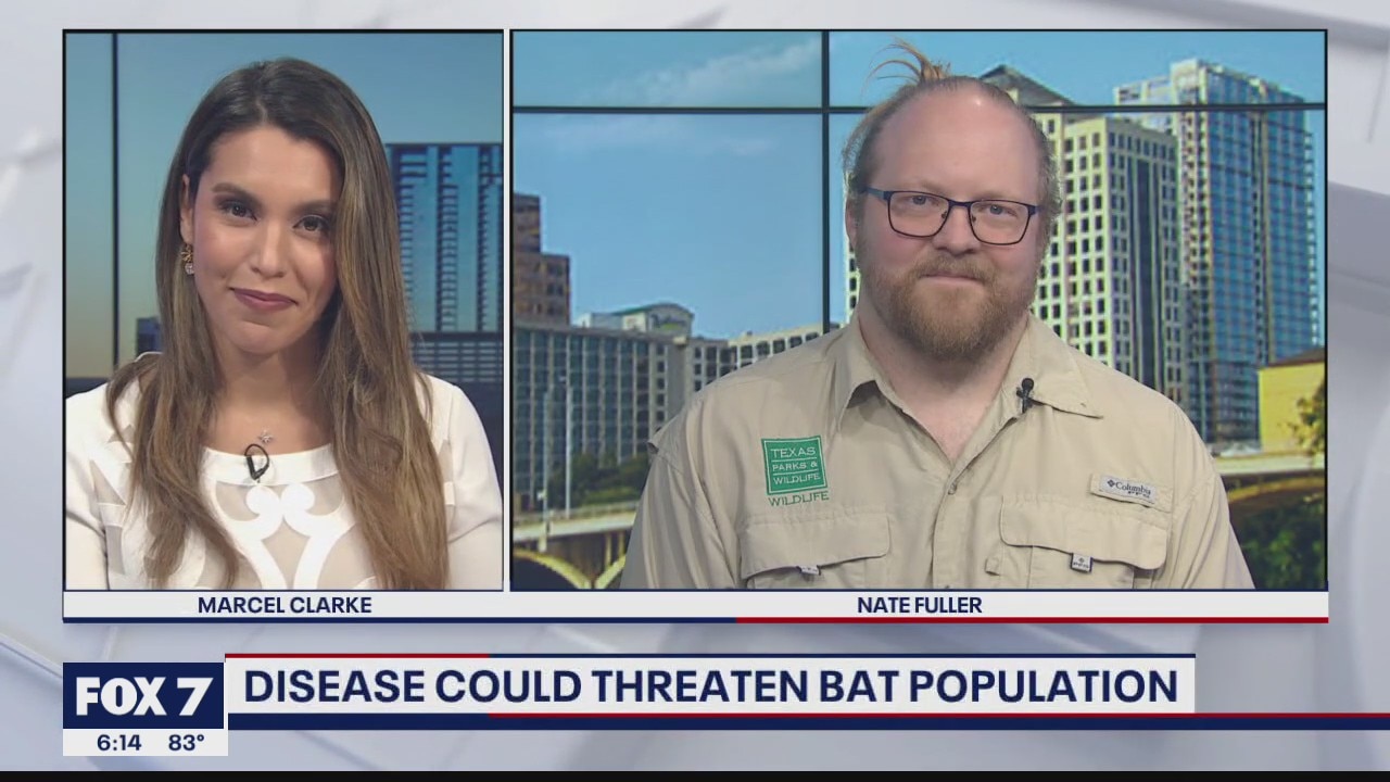 FILE – FOX 7 Discussion: Texas Parks & Wildlife on white-nose syndrome