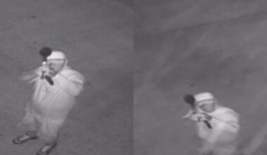 Burglar fires paintball, BB guns at South Austin collectibles store: APD