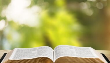 Texas board approves Bible stories as required reading in public schools