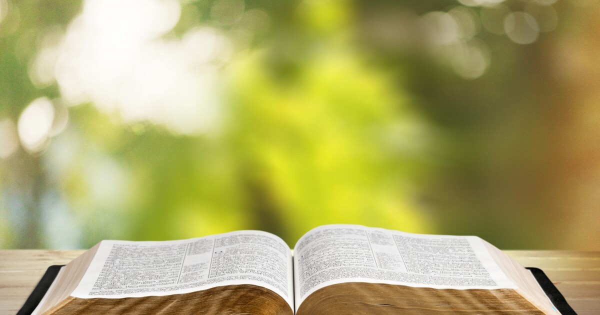 Texas board approves Bible stories as required reading in public schools